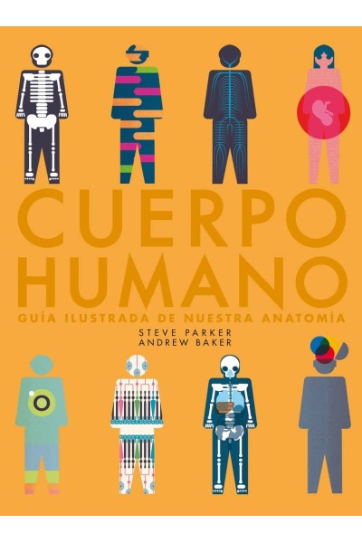 CUERPO HUMANO