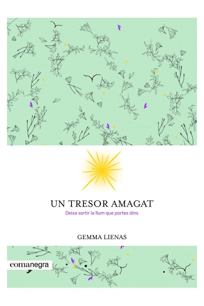 UN TRESOR AMAGAT
