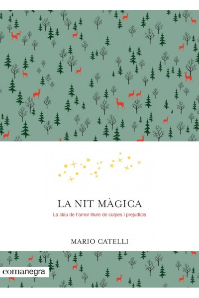 LA NIT MÀGICA