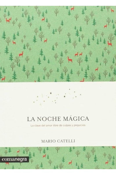 LA NOCHE MÁGICA