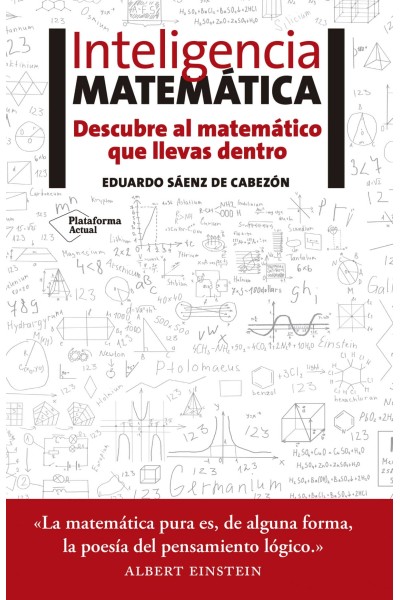 INTELIGENCIA MATEMÁTICA