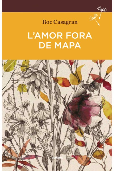 L'AMOR FORA DE MAPA (BUTXACA)