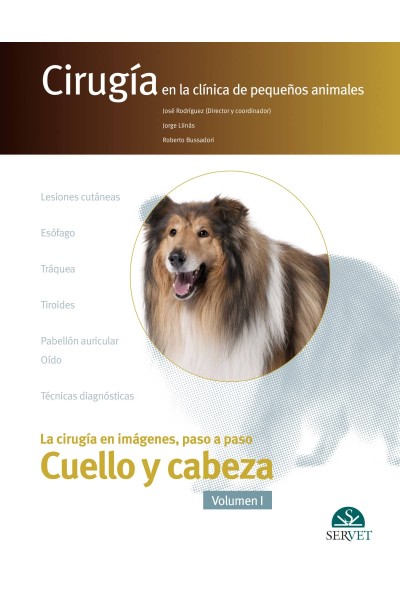 CIRUGÍA EN LA CLÍNICA DE PEQUEÑOS ANIMALES (VOL.1)
