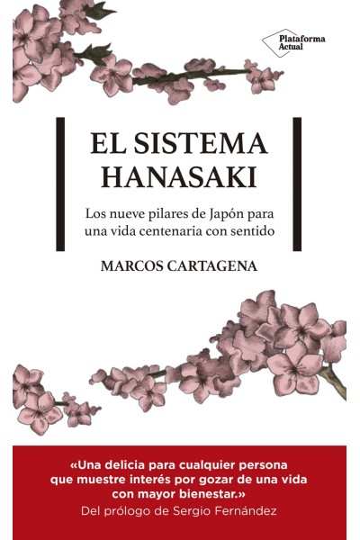 EL SISTEMA HANASAKI
