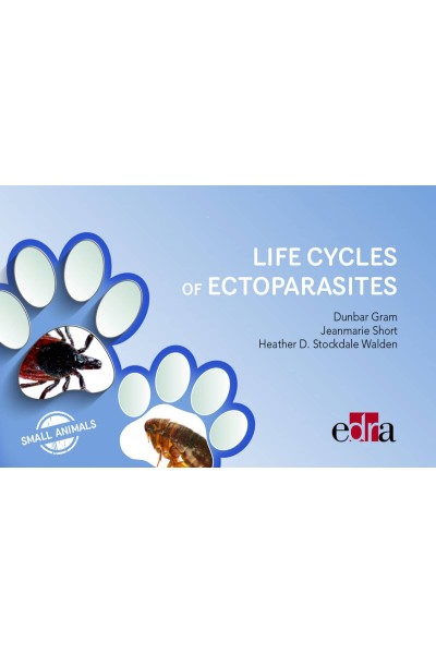 LIFE CYCLES OF ECTOPARASITES IN SMALL ANIMALS