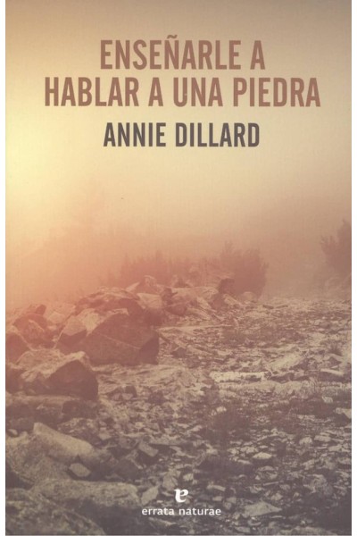 ENSEÑARLE A HABLAR A UNA PIEDRA