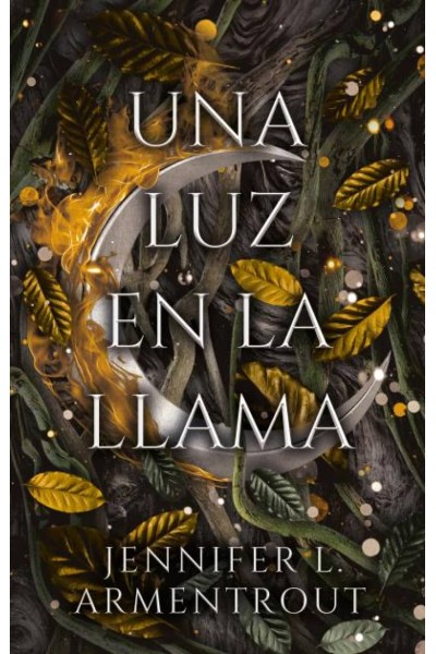 UNA LUZ EN LA LLAMA