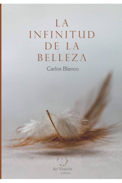 LA INFINITUD DE LA BELLEZA