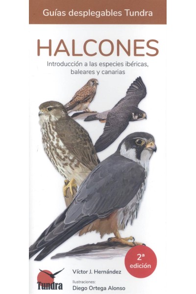 HALCONES - GUIAS DESPLEGABLES TUNDRA