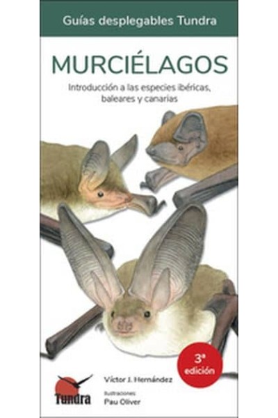 MURCIELAGOS