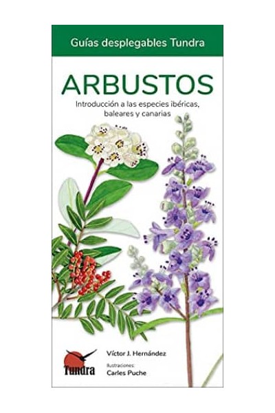 ARBUSTOS