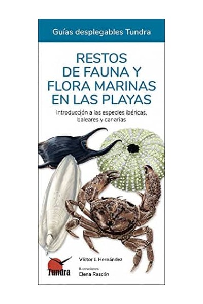 RESTOS DE FAUNA Y FLORA MARINAS EN LAS PLAYAS