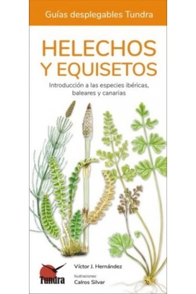 HELECHOS, EQUISETOS Y LICOPODIOS - GUIAS DESPLEGABLES TUNDRA