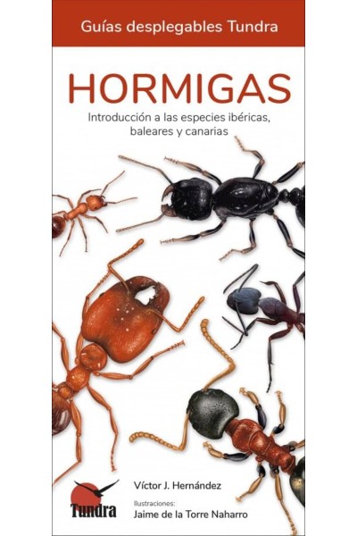 HORMIGAS - GUIAS DESPLEGABLES TUNDRA