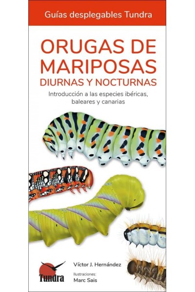 ORUGAS DE MARIPOSAS - GUIAS DESPLEGABLES TUNDRA