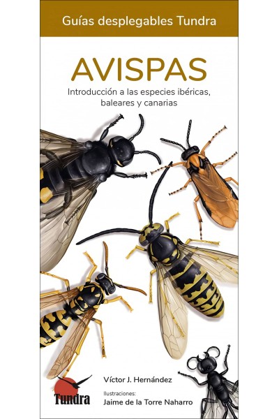 AVISPAS - GUIAS DESPLEGABLES TUNDRA