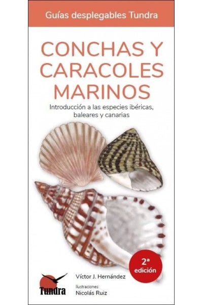 CONCHAS Y CARACOLES MARINOS - GUIAS DESPLEGABLES TUNDRA