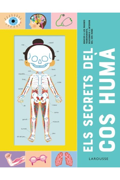 ELS SECRETS DEL COS HUMA