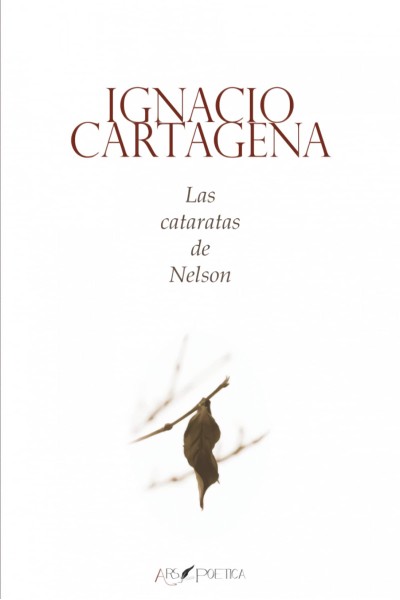 LAS CATARATAS DE NELSON
