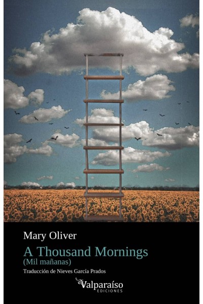 A THOUSAND MORNINGS