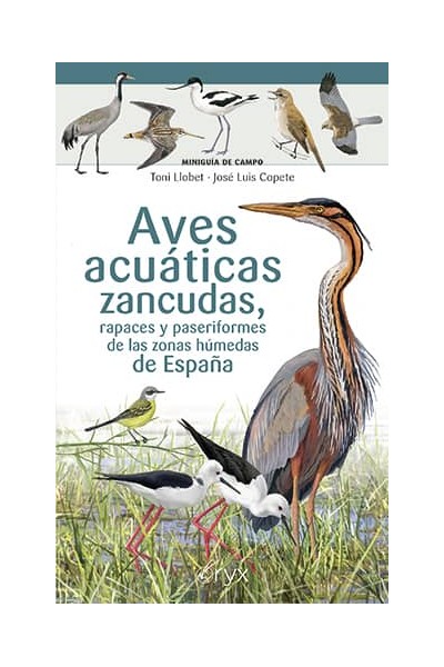 AVES ACUÁTICAS ZANCUDAS, RAPACES Y PASERIFORMES DE LAS ZONAS HÚMEDAS DE ESPAÑA