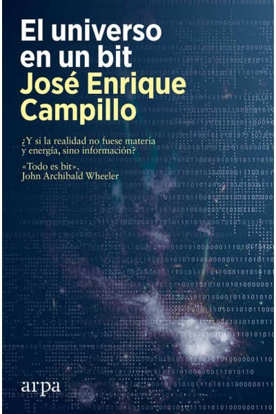 EL UNIVERSO EN UN BIT
