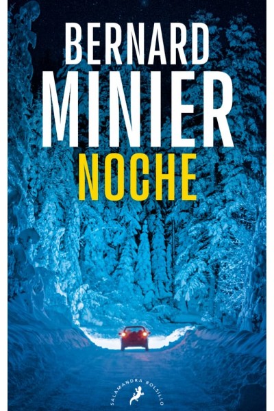 NOCHE (SERIE INSPECTOR SERVAZ)