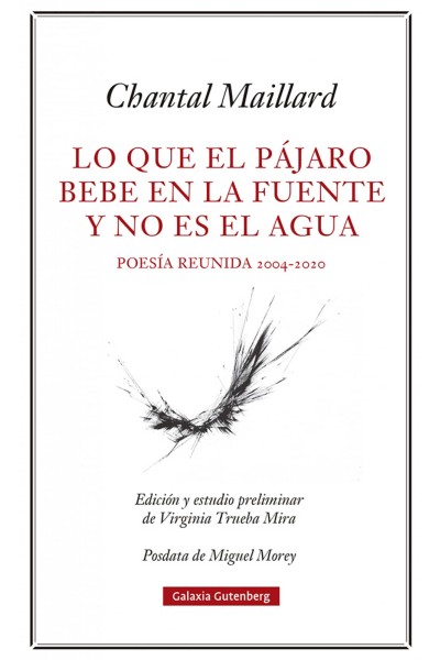 LO QUE EL PÁJARO BEBE EN LA FUENTE Y NO ES EL AGUA