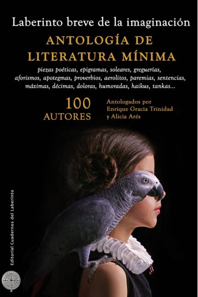 LABERINTO BREVE DE LA IMAGINACION