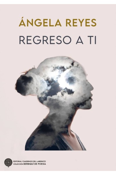 REGRESO A TI