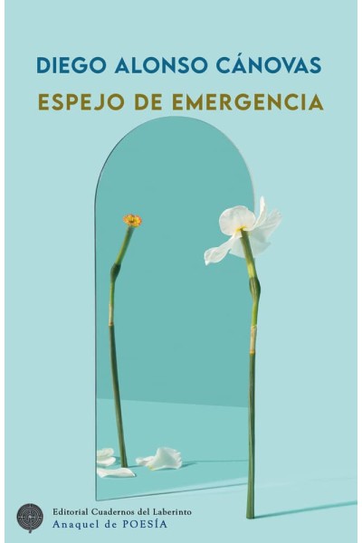 ESPEJO DE EMERGENCIA