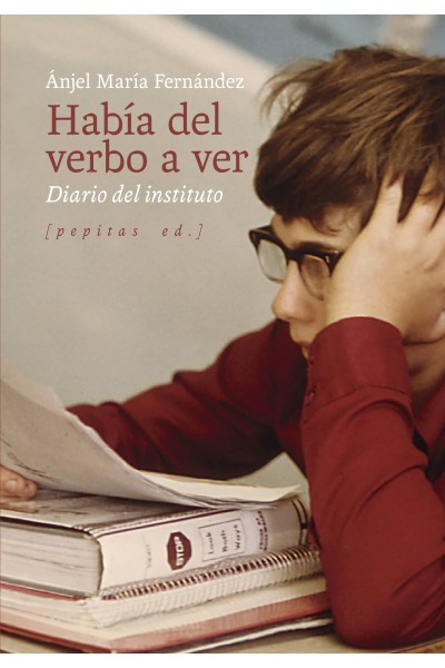 HABÍA DEL VERBO A VER