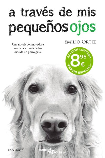A TRAVES DE MIS PEQUEÑOS OJOS CAT