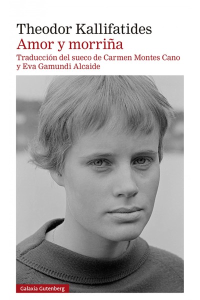 AMOR Y MORRIÑA