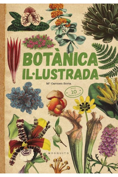 BOTÀNICA IL·LUSTRADA