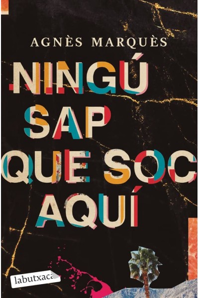 NINGU SAP QUE SOC AQUI