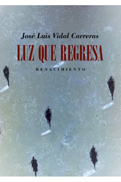 LUZ QUE REGRESA