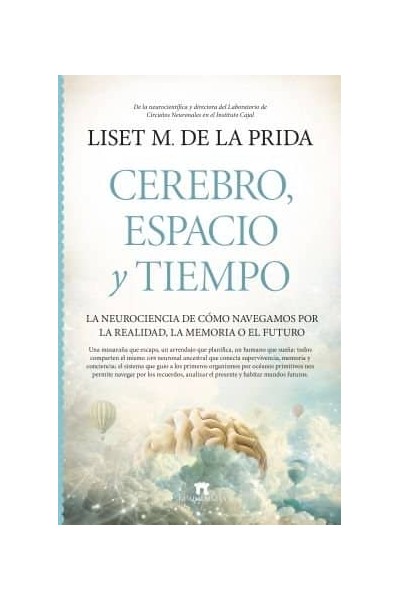CEREBRO ESPACIO Y TIEMPO