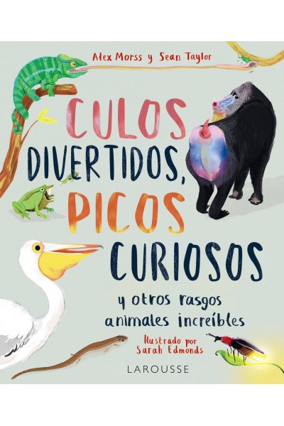 CULOS DIVERTIDOS, PICOS CURIOSOS