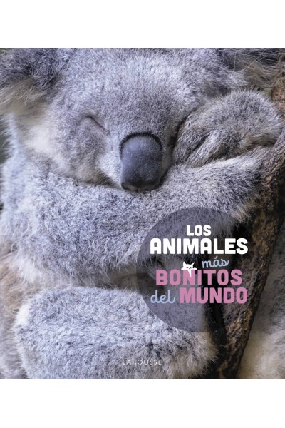 LOS ANIMALES MÁS BONITOS DEL MUNDO