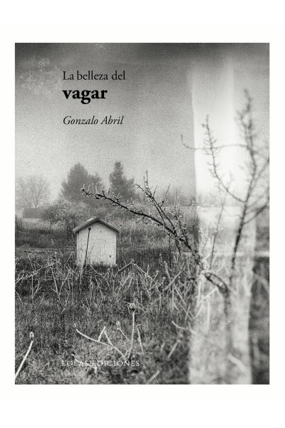 LA BELLEZA DEL VAGAR