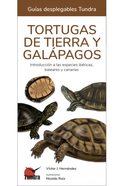 TORTUGAS MARINAS - GUIAS DEPLEGABLES TUNDRA
