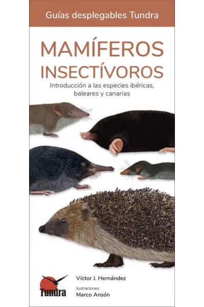 MAMIFEROS INSECTIVOROS