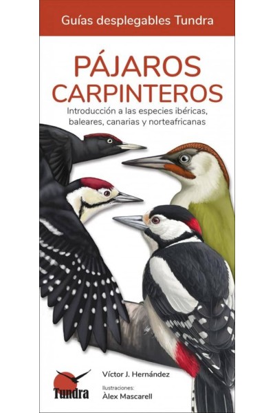 PAJAROS CARPINTEROS