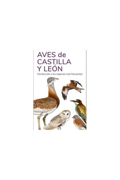 AVES DE CASTILLA Y LEON - GUIAS DESPLEGABLES TUNDRA