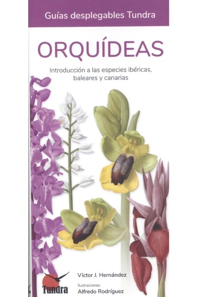 ORQUIDEAS INTRODUCCION A LAS ESPECIES IBERICAS BALEARES CAN