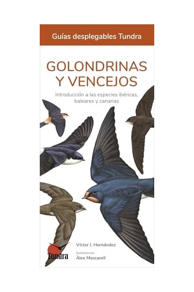 GOLONDRINAS Y VENCEJOS