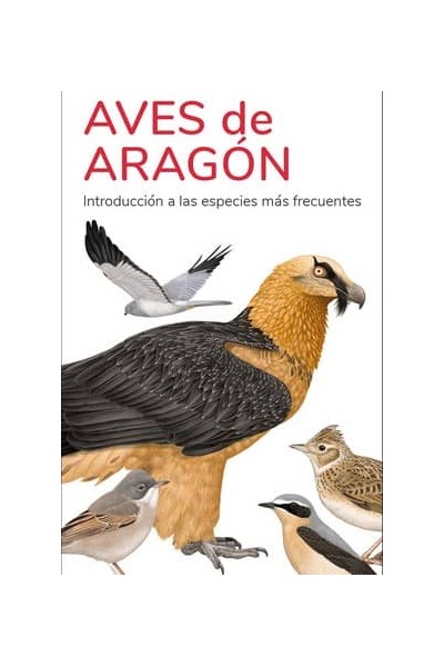 AVES DE ARAGON - GUIAS DESPLEGABLES TUNDRA