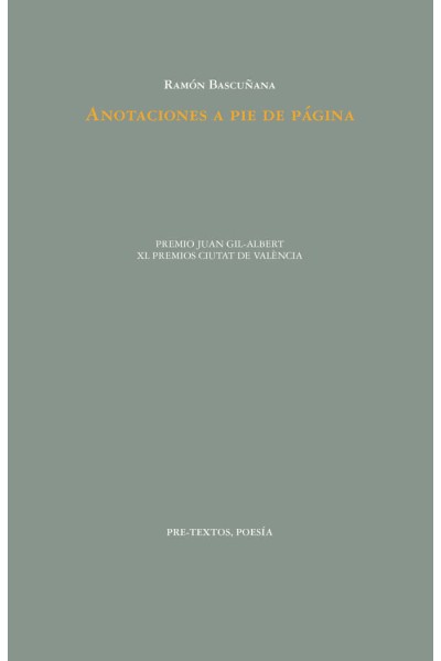 ANOTACIONES A PIE DE PAGINA