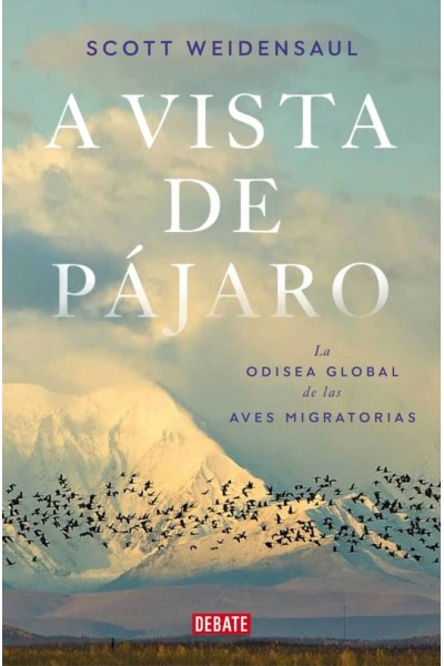 A VISTA DE PÁJARO